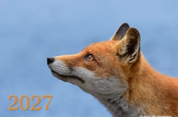 Wildtierkalender 2027